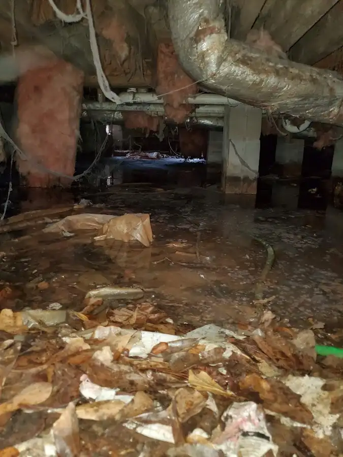 Crawl space flood assessment for Commercial Water Damage Restoration in New Sewickley