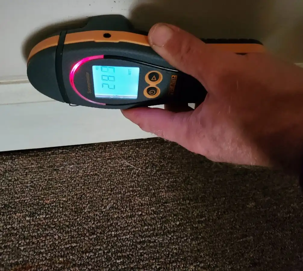 Moisture detection at baseboard during Sewage Cleanup & Sanitation in New Sewickley